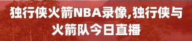 独行侠火箭NBA录像,独行侠与火箭队今日直播