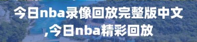 今日nba录像回放完整版中文,今日nba精彩回放