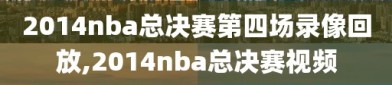 2014nba总决赛第四场录像回放,2014nba总决赛视频