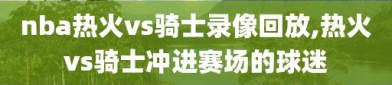 nba热火vs骑士录像回放,热火vs骑士冲进赛场的球迷