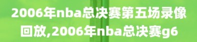 2006年nba总决赛第五场录像回放,2006年nba总决赛g6