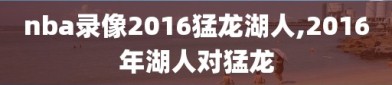 nba录像2016猛龙湖人,2016年湖人对猛龙