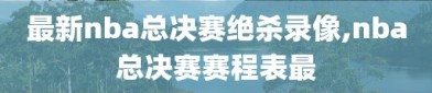 最新nba总决赛绝杀录像,nba总决赛赛程表最