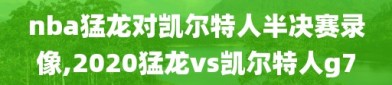 nba猛龙对凯尔特人半决赛录像,2020猛龙vs凯尔特人g7