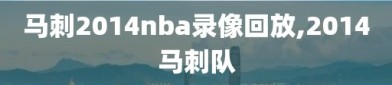 马刺2014nba录像回放,2014马刺队