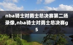 nba骑士对勇士总决赛第二场录像,nba骑士对勇士总决赛g5