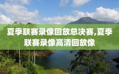 夏季联赛录像回放总决赛,夏季联赛录像高清回放像