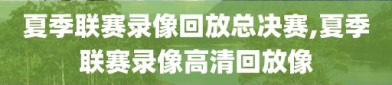 夏季联赛录像回放总决赛,夏季联赛录像高清回放像