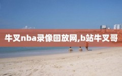 牛叉nba录像回放网,b站牛叉哥