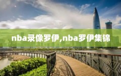 nba录像罗伊,nba罗伊集锦