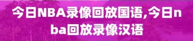 今日NBA录像回放国语,今日nba回放录像汉语