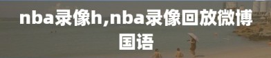 nba录像h,nba录像回放微博国语