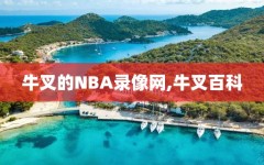 牛叉的NBA录像网,牛叉百科