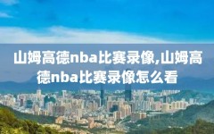 山姆高德nba比赛录像,山姆高德nba比赛录像怎么看