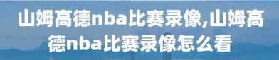 山姆高德nba比赛录像,山姆高德nba比赛录像怎么看