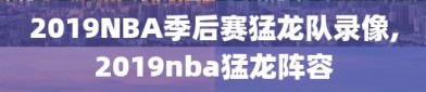 2019NBA季后赛猛龙队录像,2019nba猛龙阵容