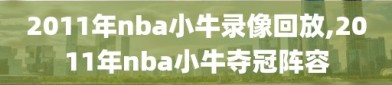 2011年nba小牛录像回放,2011年nba小牛夺冠阵容