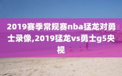 2019赛季常规赛nba猛龙对勇士录像,2019猛龙vs勇士g5央视