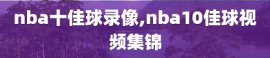 nba十佳球录像,nba10佳球视频集锦