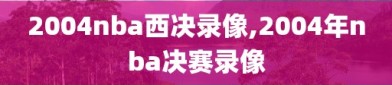 2004nba西决录像,2004年nba决赛录像