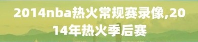 2014nba热火常规赛录像,2014年热火季后赛