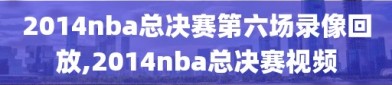 2014nba总决赛第六场录像回放,2014nba总决赛视频