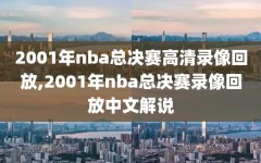 2001年nba总决赛高清录像回放,2001年nba总决赛录像回放中文解说