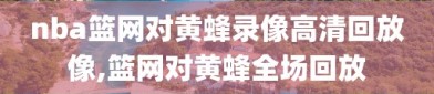 nba篮网对黄蜂录像高清回放像,篮网对黄蜂全场回放