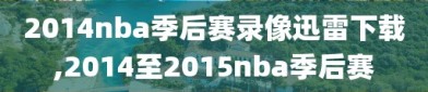 2014nba季后赛录像迅雷下载,2014至2015nba季后赛